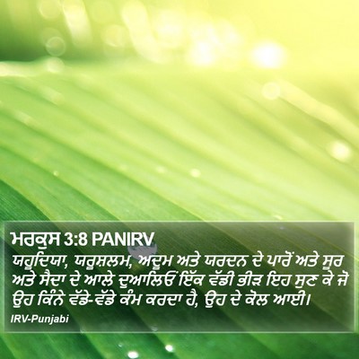 ਮਰਕੁਸ 3:8 PANIRV Bible Verse Image