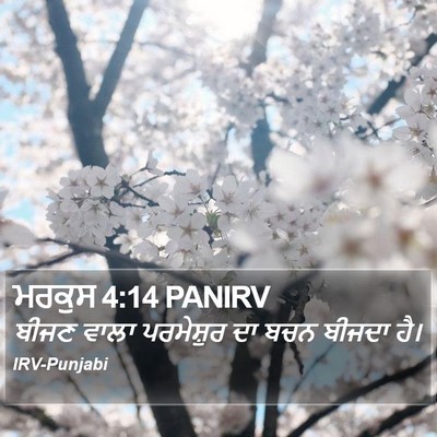 ਮਰਕੁਸ 4:14 PANIRV Bible Verse Image