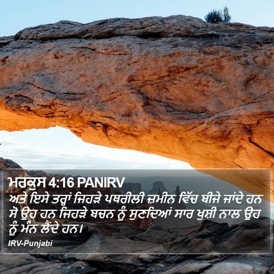 ਮਰਕੁਸ 4:16 PANIRV Bible Verse Image