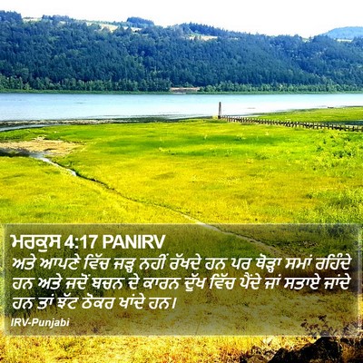 ਮਰਕੁਸ 4:17 PANIRV Bible Verse Image