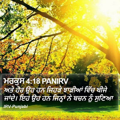 ਮਰਕੁਸ 4:18 PANIRV Bible Verse Image