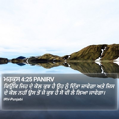 ਮਰਕੁਸ 4:25 PANIRV Bible Verse Image