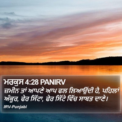 ਮਰਕੁਸ 4:28 PANIRV Bible Verse Image