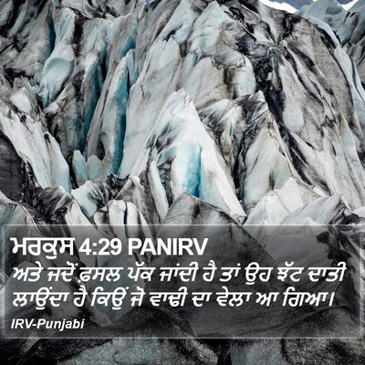 ਮਰਕੁਸ 4:29 PANIRV Bible Verse Image