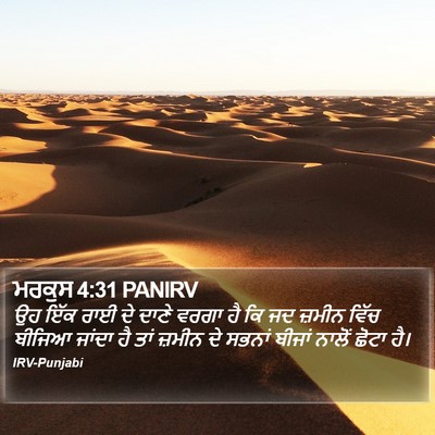 ਮਰਕੁਸ 4:31 PANIRV Bible Verse Image