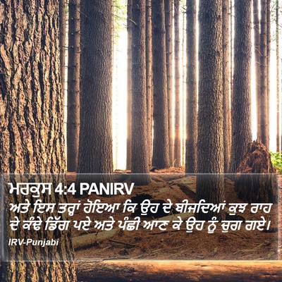 ਮਰਕੁਸ 4:4 PANIRV Bible Verse Image