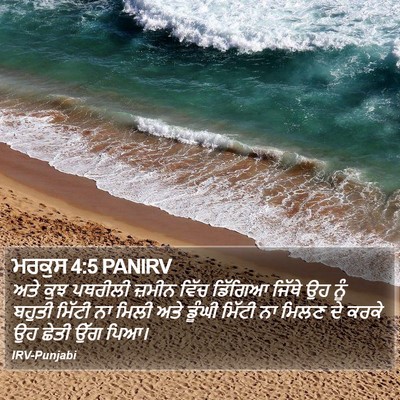 ਮਰਕੁਸ 4:5 PANIRV Bible Verse Image