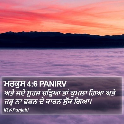 ਮਰਕੁਸ 4:6 PANIRV Bible Verse Image