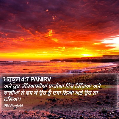 ਮਰਕੁਸ 4:7 PANIRV Bible Verse Image