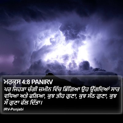 ਮਰਕੁਸ 4:8 PANIRV Bible Verse Image