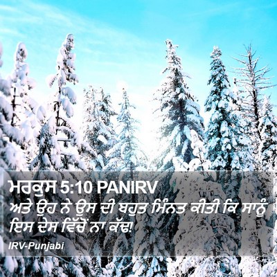ਮਰਕੁਸ 5:10 PANIRV Bible Verse Image