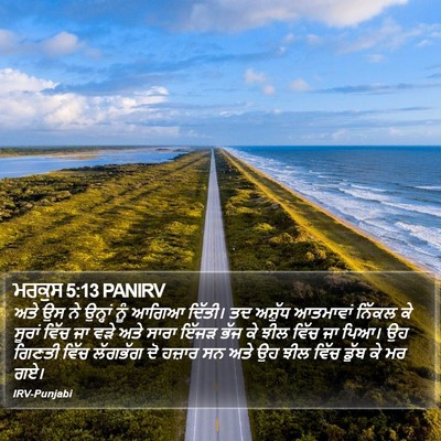 ਮਰਕੁਸ 5:13 PANIRV Bible Verse Image