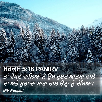 ਮਰਕੁਸ 5:16 PANIRV Bible Verse Image