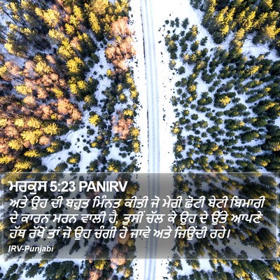 ਮਰਕੁਸ 5:23 PANIRV Bible Verse Image