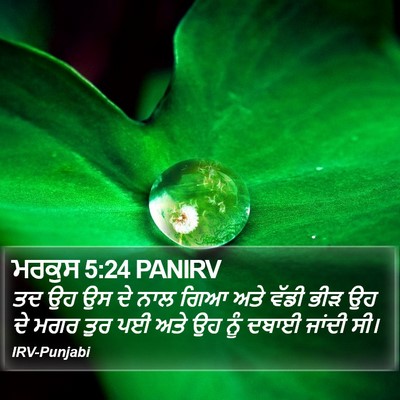 ਮਰਕੁਸ 5:24 PANIRV Bible Verse Image