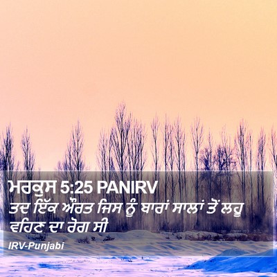 ਮਰਕੁਸ 5:25 PANIRV Bible Verse Image