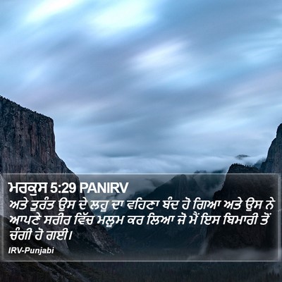 ਮਰਕੁਸ 5:29 PANIRV Bible Verse Image
