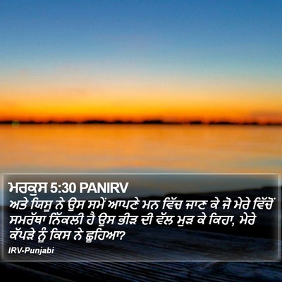 ਮਰਕੁਸ 5:30 PANIRV Bible Verse Image