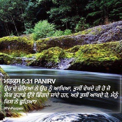 ਮਰਕੁਸ 5:31 PANIRV Bible Verse Image