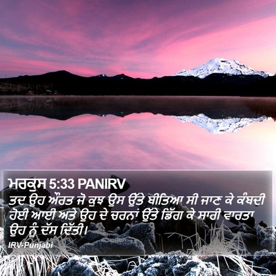 ਮਰਕੁਸ 5:33 PANIRV Bible Verse Image