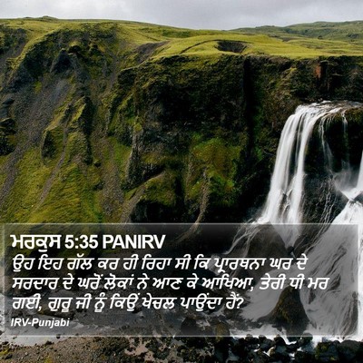 ਮਰਕੁਸ 5:35 PANIRV Bible Verse Image