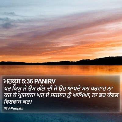 ਮਰਕੁਸ 5:36 PANIRV Bible Verse Image