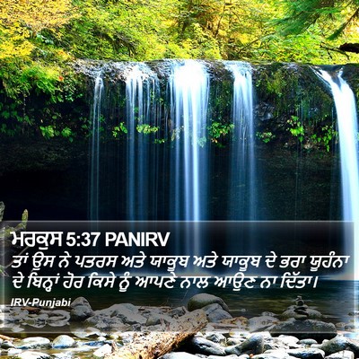 ਮਰਕੁਸ 5:37 PANIRV Bible Verse Image