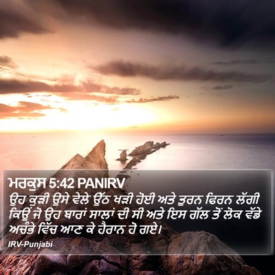 ਮਰਕੁਸ 5:42 PANIRV Bible Verse Image