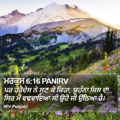 ਮਰਕੁਸ 6:16 PANIRV Bible Verse Image