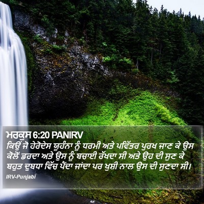 ਮਰਕੁਸ 6:20 PANIRV Bible Verse Image