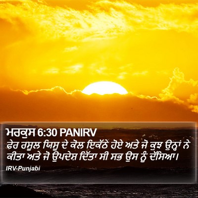 ਮਰਕੁਸ 6:30 PANIRV Bible Verse Image