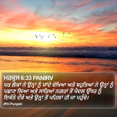 ਮਰਕੁਸ 6:33 PANIRV Bible Verse Image