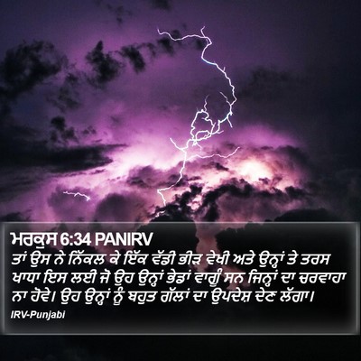 ਮਰਕੁਸ 6:34 PANIRV Bible Verse Image