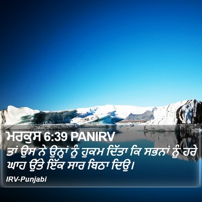 ਮਰਕੁਸ 6:39 PANIRV Bible Verse Image
