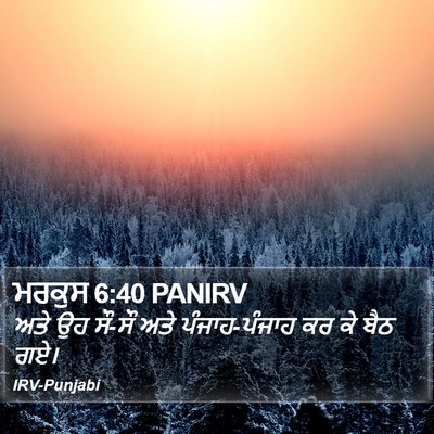ਮਰਕੁਸ 6:40 PANIRV Bible Verse Image