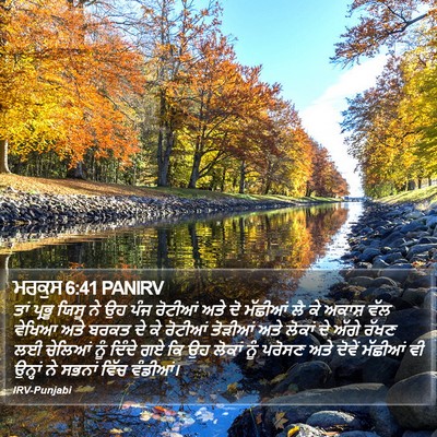 ਮਰਕੁਸ 6:41 PANIRV Bible Verse Image