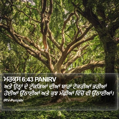 ਮਰਕੁਸ 6:43 PANIRV Bible Verse Image