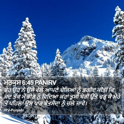 ਮਰਕੁਸ 6:45 PANIRV Bible Verse Image