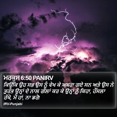 ਮਰਕੁਸ 6:50 PANIRV Bible Verse Image