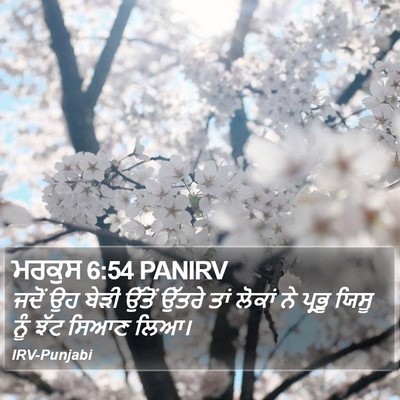 ਮਰਕੁਸ 6:54 PANIRV Bible Verse Image