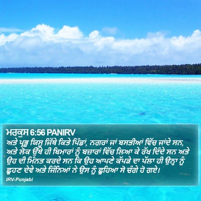 ਮਰਕੁਸ 6:56 PANIRV Bible Verse Image