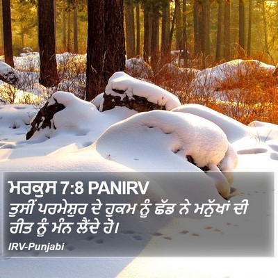 ਮਰਕੁਸ 7:8 PANIRV Bible Verse Image