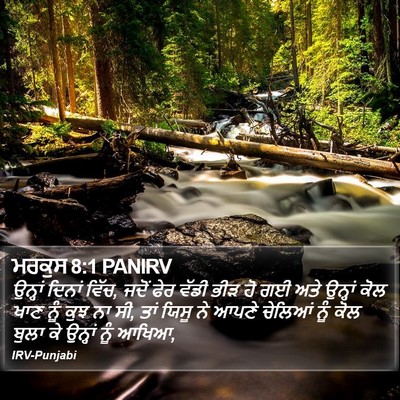ਮਰਕੁਸ 8:1 PANIRV Bible Verse Image
