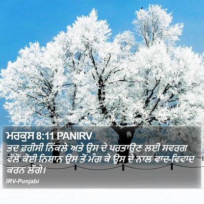 ਮਰਕੁਸ 8:11 PANIRV Bible Verse Image