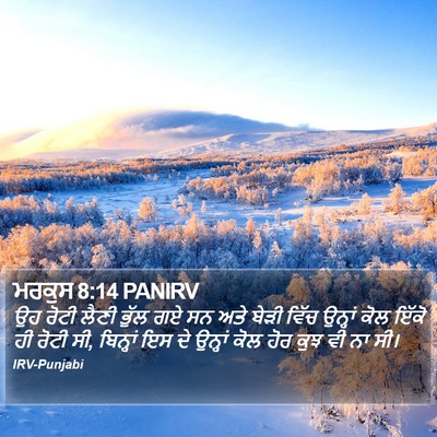 ਮਰਕੁਸ 8:14 PANIRV Bible Verse Image