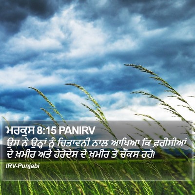 ਮਰਕੁਸ 8:15 PANIRV Bible Verse Image