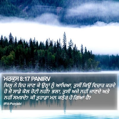 ਮਰਕੁਸ 8:17 PANIRV Bible Verse Image