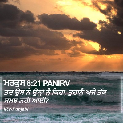ਮਰਕੁਸ 8:21 PANIRV Bible Verse Image