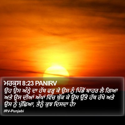 ਮਰਕੁਸ 8:23 PANIRV Bible Verse Image