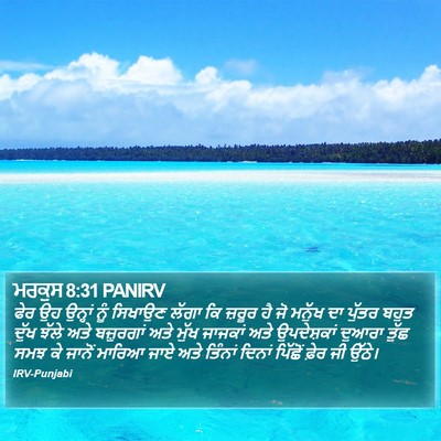 ਮਰਕੁਸ 8:31 PANIRV Bible Verse Image